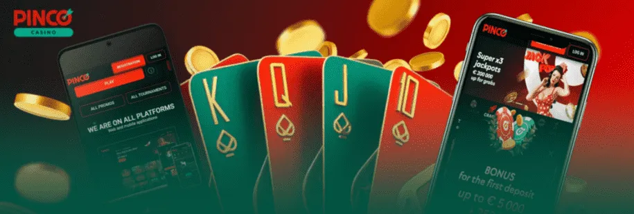 PINCO-TURKIYE-main